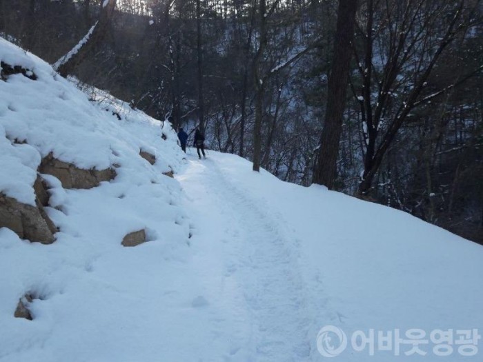 2.친구처럼 늘 만나고 싶은 “물무산 행복숲”의 설경 장관-4.JPG