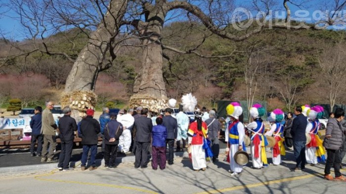 4.정월대보름 불갑산 삼정자 당산제.jpg