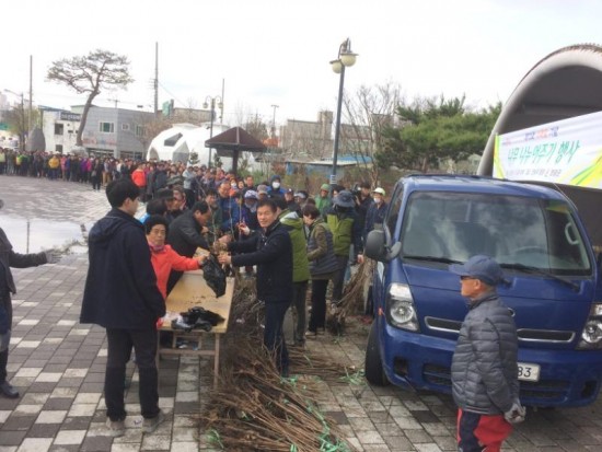 2.영광군, 제73회 식목일 기념 ‘나무 나누어주기 행사 성황리에 마쳐-2.jpg