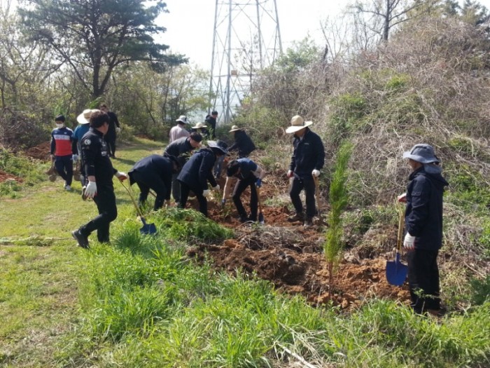 7.봉대산 등산로를 건강하게-2.jpg