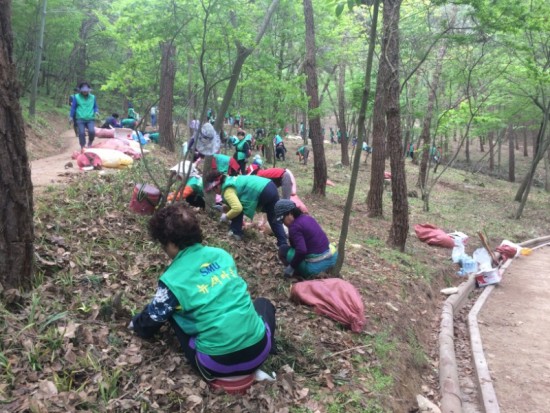 4.영광군 새마을회, 보랏빛 꽃단지 조성-1.jpg