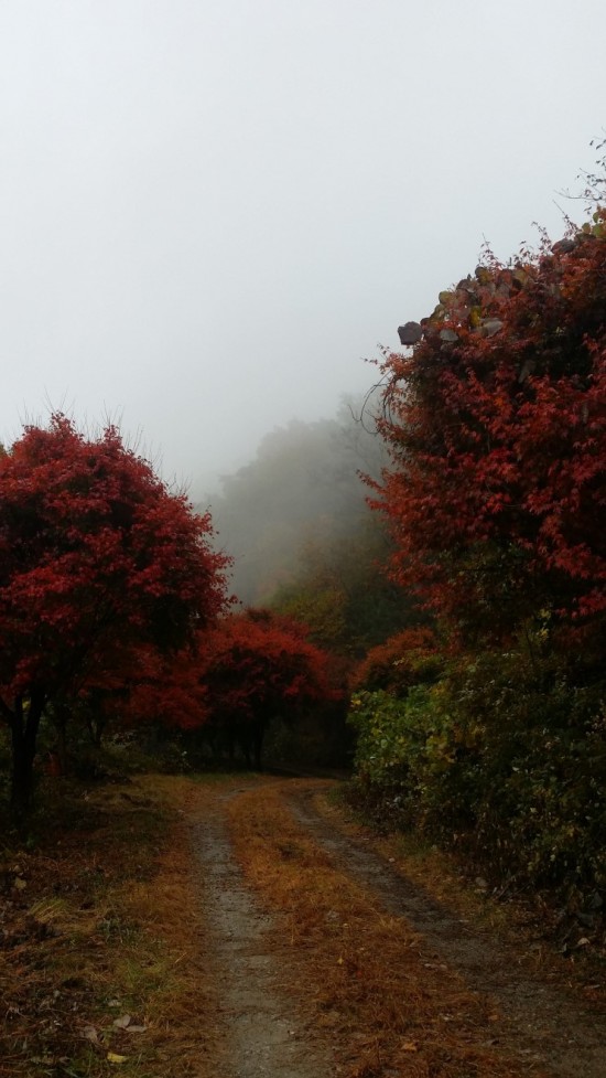 태청산사진.jpg