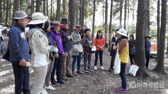 영광군 숲해설가, 숲교육 경진대회 우수상 수상 1 사이드.jpg