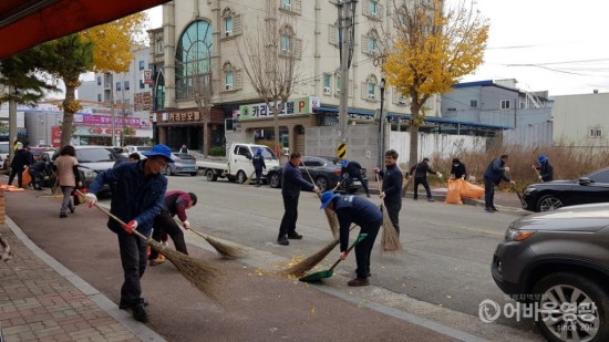 사본 -영광군, 환경단체와 가을철 낙엽 쓸기 대청소 실시 3.jpg