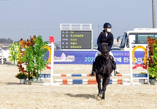 5. 익산시장배 전국 승마대회에 영광군 대표로 참가한 유소년 승마단이 `10개 부문에서 좋은 성적을 거두었다. 장애물 경기를 하고있는 모습2.jpg