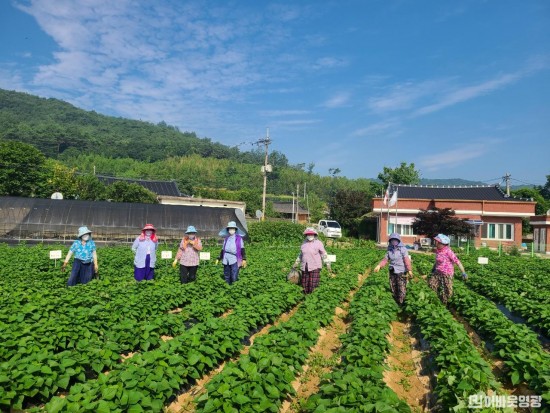 6. 마을공동체 묘량면 보리동산 모습.jpg