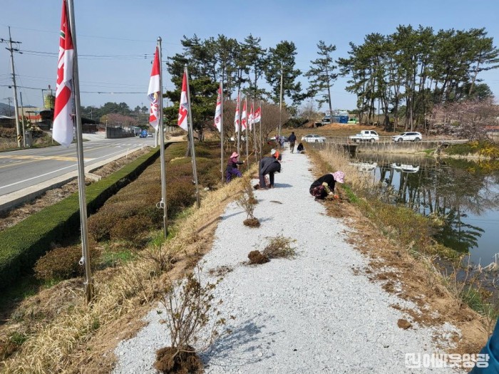 1. 남동저수지 주변 철쭉 700주 식재하여 양심화단 조성.jpg