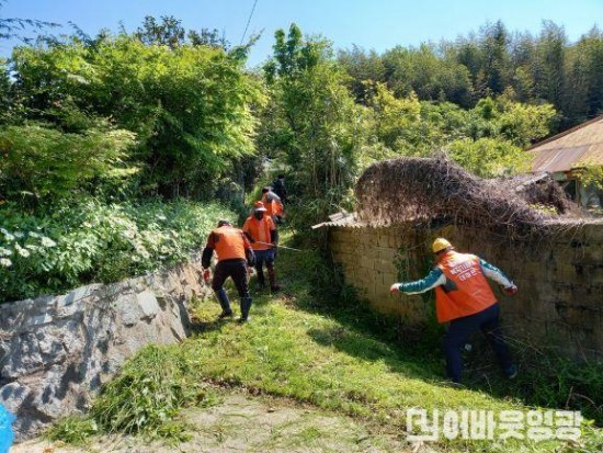 4.대마면 복지기동대, 취약계층 주거 환경개선 봉사활동 실시.jpg