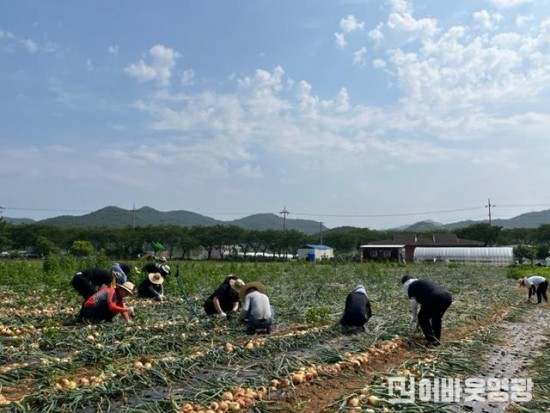 4.농촌 일손돕기 현장 사진.jpg