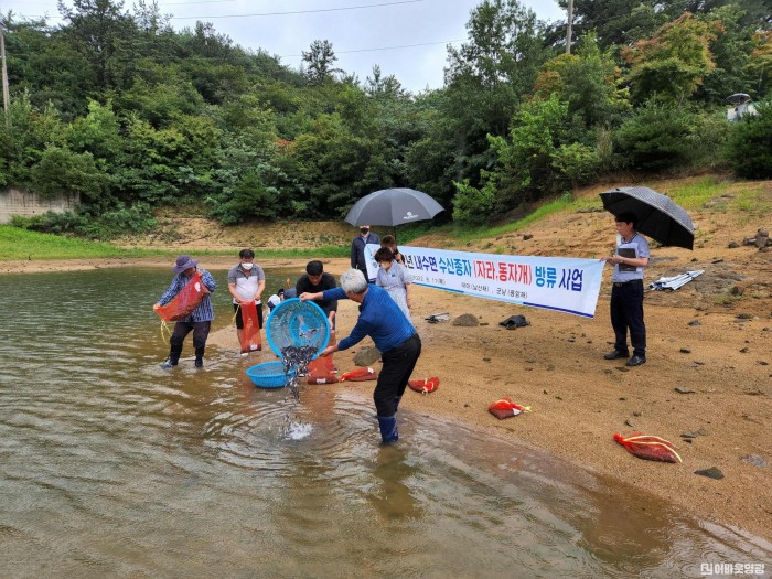 3. 영광군, 내수면 수산자원 조성 박차.jpg