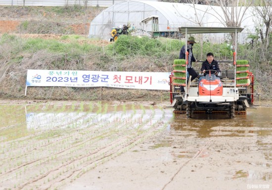 3.사진자료(영광군, 2023년 첫 모내기 실시) (1).JPG