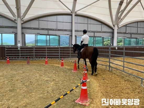 1-1.사진자료(승마 체험을 통해 힐링하며 건강도 챙기세요).JPG