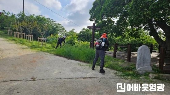 4.법성면 단오제 맞이 행사장 및 주요도로 풀베기 실시 (1).jpg