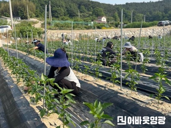 3.농업기술센터, 영농철 맞아 농촌일손돕기 나서 (1).jpg