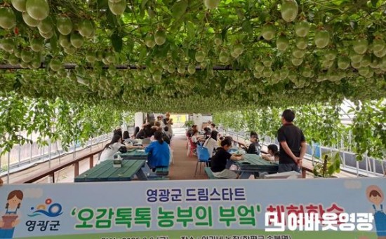 9.영광군 드림스타트, 오감톡톡 농부의 부엌 체험 추진 (1).jpg