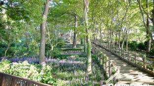 7.백수해안도로 절벽정원 사진1.jpg