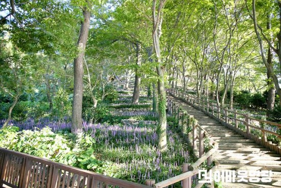 7.백수해안도로 절벽정원 사진1.jpg