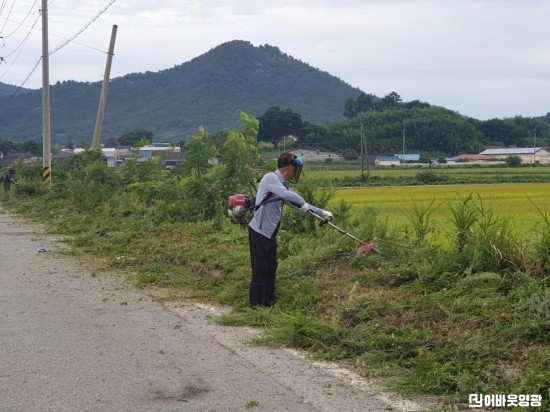 1.사진(군서면, 추석맞이 풀베기)1.jpeg