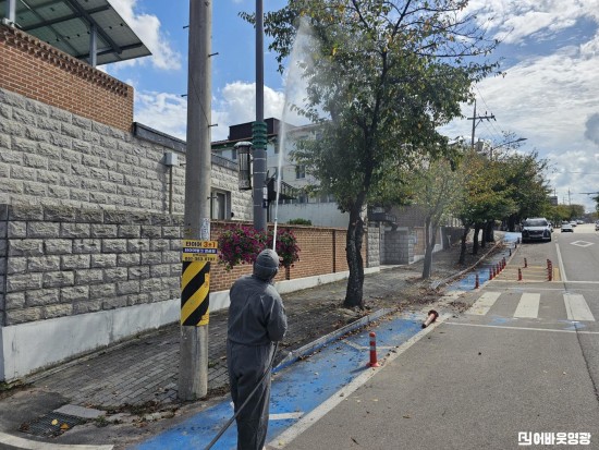 9.사진(영광군, 미국흰불나방 등 가로수 병해충 방제 총력)1.jpg