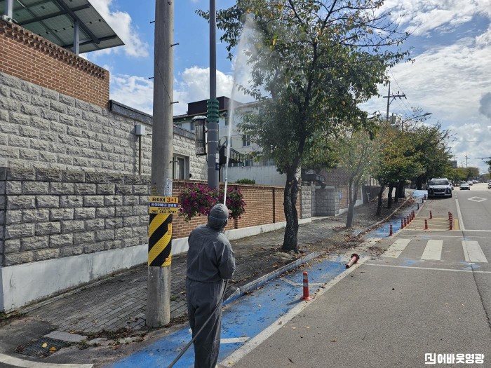 9.사진(영광군, 미국흰불나방 등 가로수 병해충 방제 총력)1.jpg