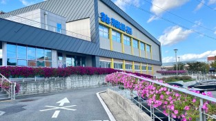 2.사진(홍농읍 꽃이피는 아름다운거리조성)2.jpg