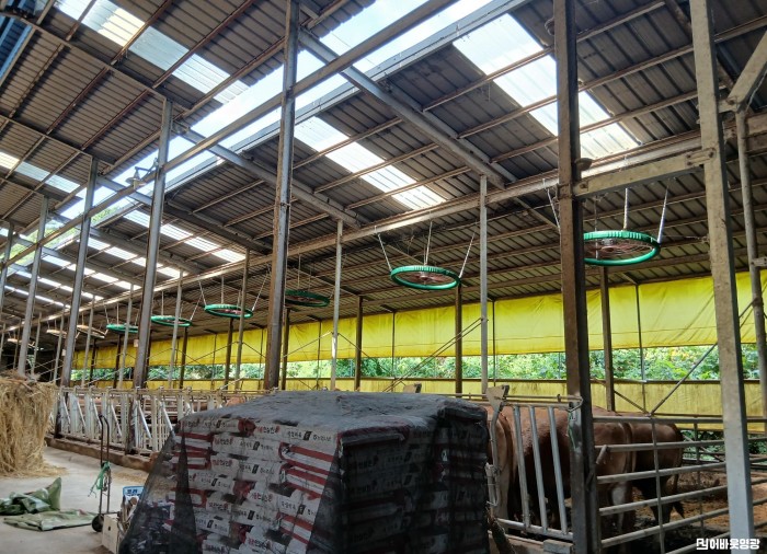 1.사진(영광군, 한파·대설 등 겨울철 축사피해 예방 대책 추진).jpg