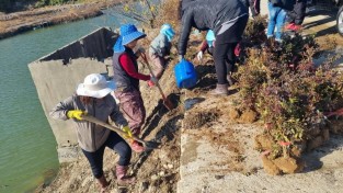 2.사진(염산면, 양심화단 철쭉식재)1.jpg