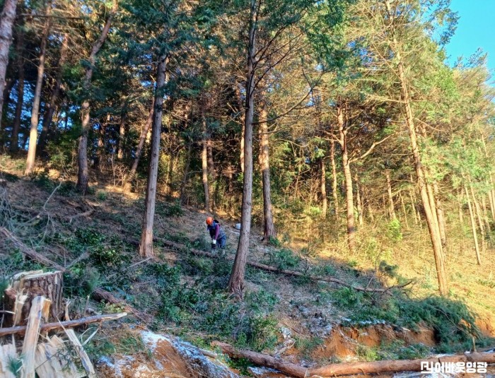 3.사진(영광군,연흥사·내산서원 산불안전공간 조성)1.jpeg