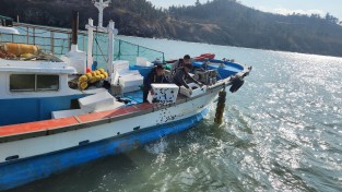 6.사진(전복 수산종자 방류).jpg