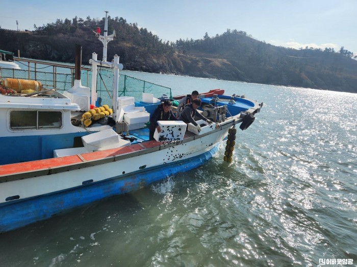 6.사진(전복 수산종자 방류).jpg