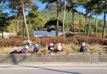 영광군 백수읍, 아름다운 꽃길조성 사업 마무리 단계