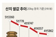 언제까지 곤두박질