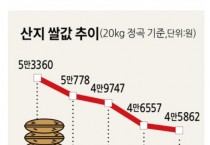 언제까지 곤두박질