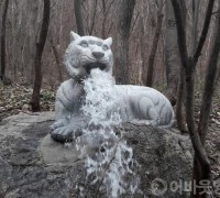 영광 불갑산 구수재에 한국산 호랑이 폭포 설치