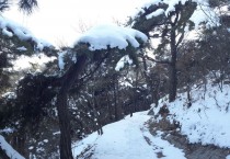 친구처럼 늘 만나고 싶은 “물무산 행복숲”의 설경 장관