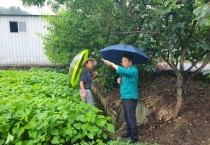 군서면, 여름철 집중호우 대비 현장 점검 총력