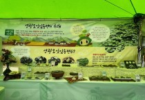 영광군, 2025 영광 법성포 단오제 떡산업 식품전 홍보부스 운영