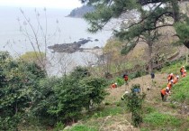 영광군, 백수해안도로 산림 경관 정비 사업 실시