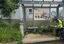 영광읍, 추석 명절 맞이 버스승강장 환경정비