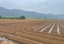 영광군, 장마철 논콩 재배 적기 파종과 철저한 배수 관리 당부