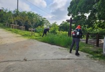 법성면 단오제 맞이 행사장 및 주요 도로 풀베기 실시