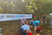 영광군, 내수면 수산자원 회복 위한 고부가가치 어종 56만 마리 방류