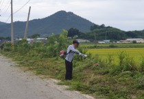 군서면, 추석맞이 주요 도로변 풀베기 본격 시작