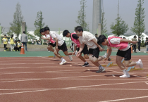 영광교육지원청, ‘제29회 학년별 육상경기대회’ 성료