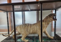 영광군민, 목포 유달초에 불갑산 호랑이 반환 서명운동 추진