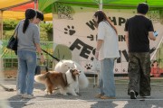 “반려인과 비반려인이 하나된 축제”…영광서 열린 ‘위드펫 힐링페스티벌’ 성료