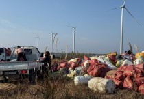 백수읍 어머니봉사대, 깨끗한 바다 가꾸기 위해 해양환경 정화활동 펼쳐