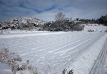 영광군, 잦은 눈, 강우에 따른 맥류 습해 예방 당부