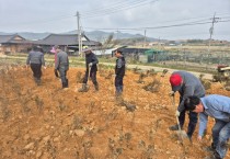 묘량면, 철쭉 심기 및 산불 예방 캠페인 실시