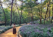 맨발황톳길계의 ‘파인 다이닝’! 영광 물무산행복숲 맨발황톳길